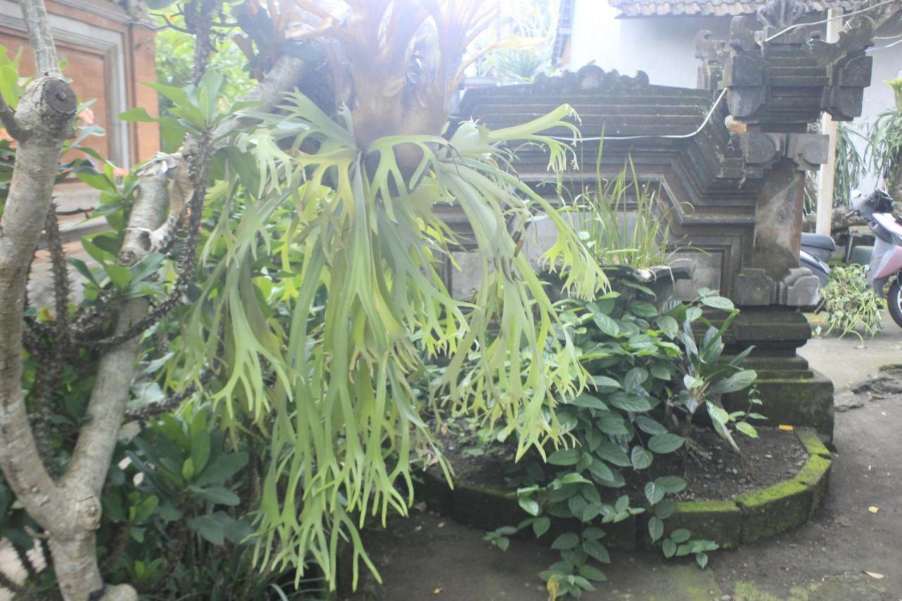 Umah De Arlika Ubud Exteriör bild