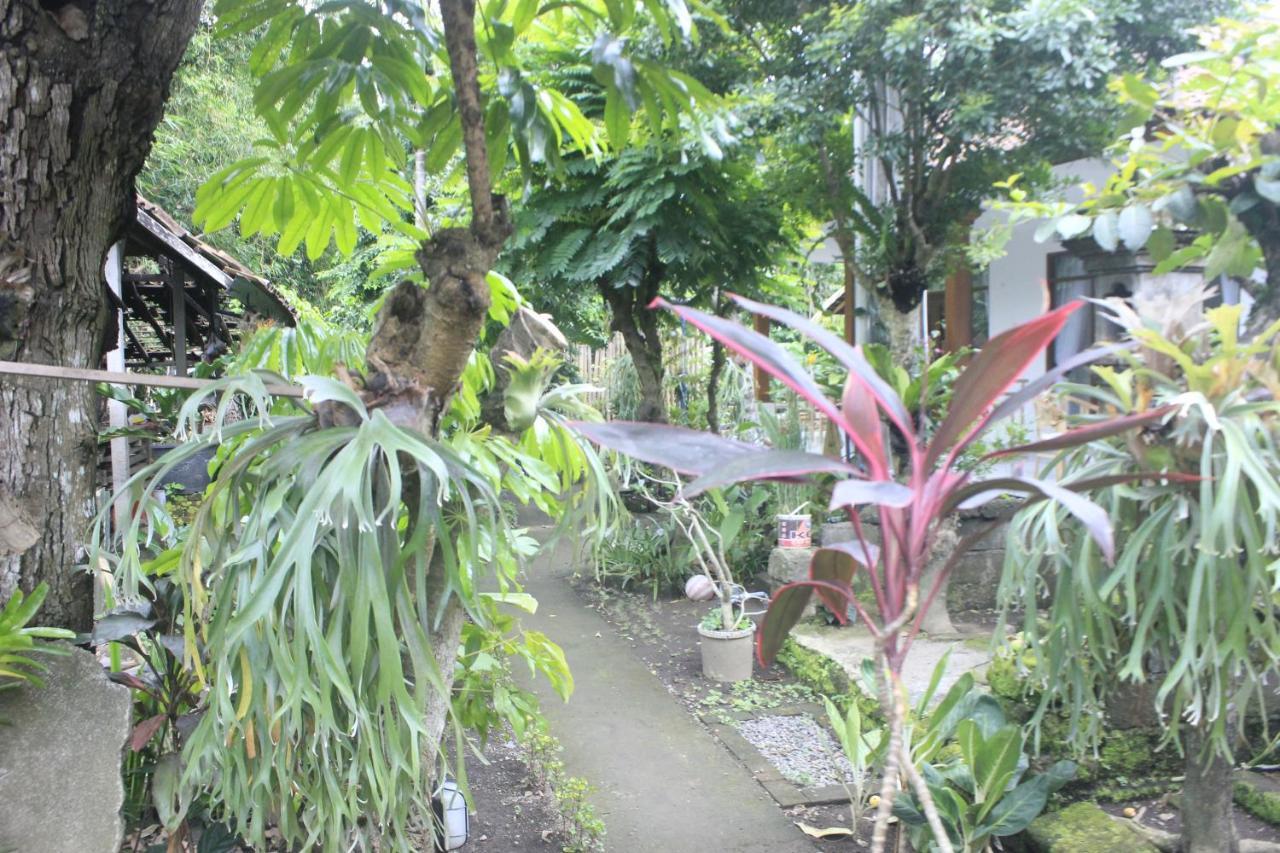 Umah De Arlika Ubud Exteriör bild